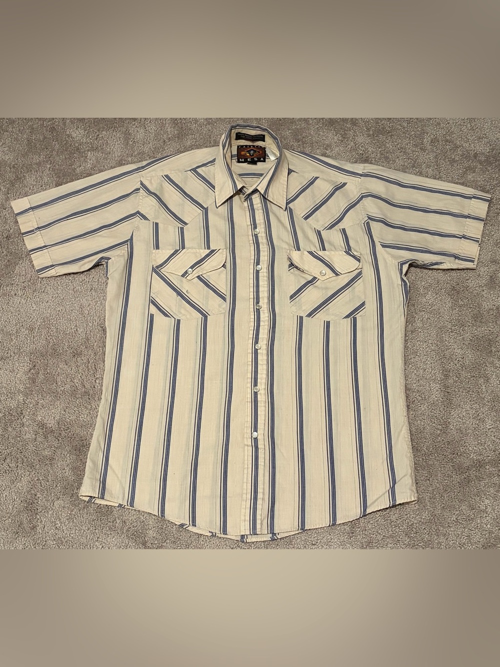 Painted Mesa Mens Western Fit Pearl Snap Blue Striped Button Down Measured Large
